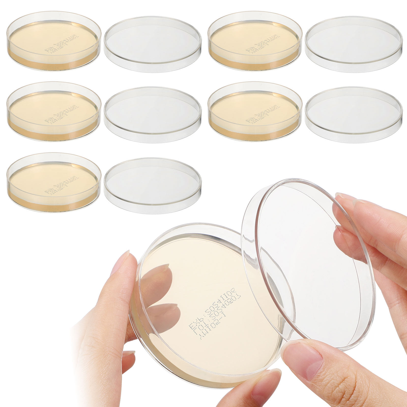 Agar Plates 10pcs Ready to Use - Science Experiment recension och pris