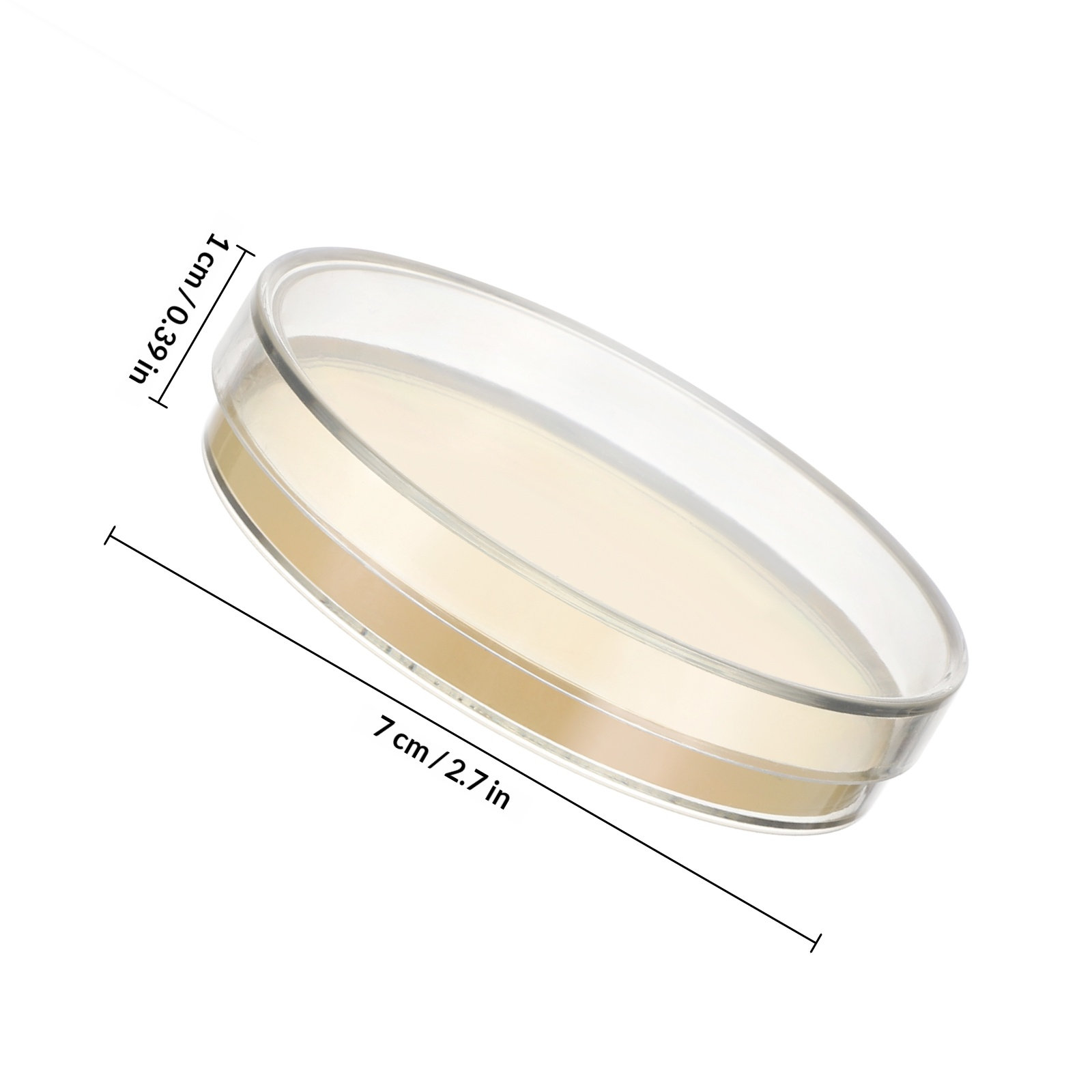 Agar Plates 10pcs Ready to Use - Science Experiment recension och pris