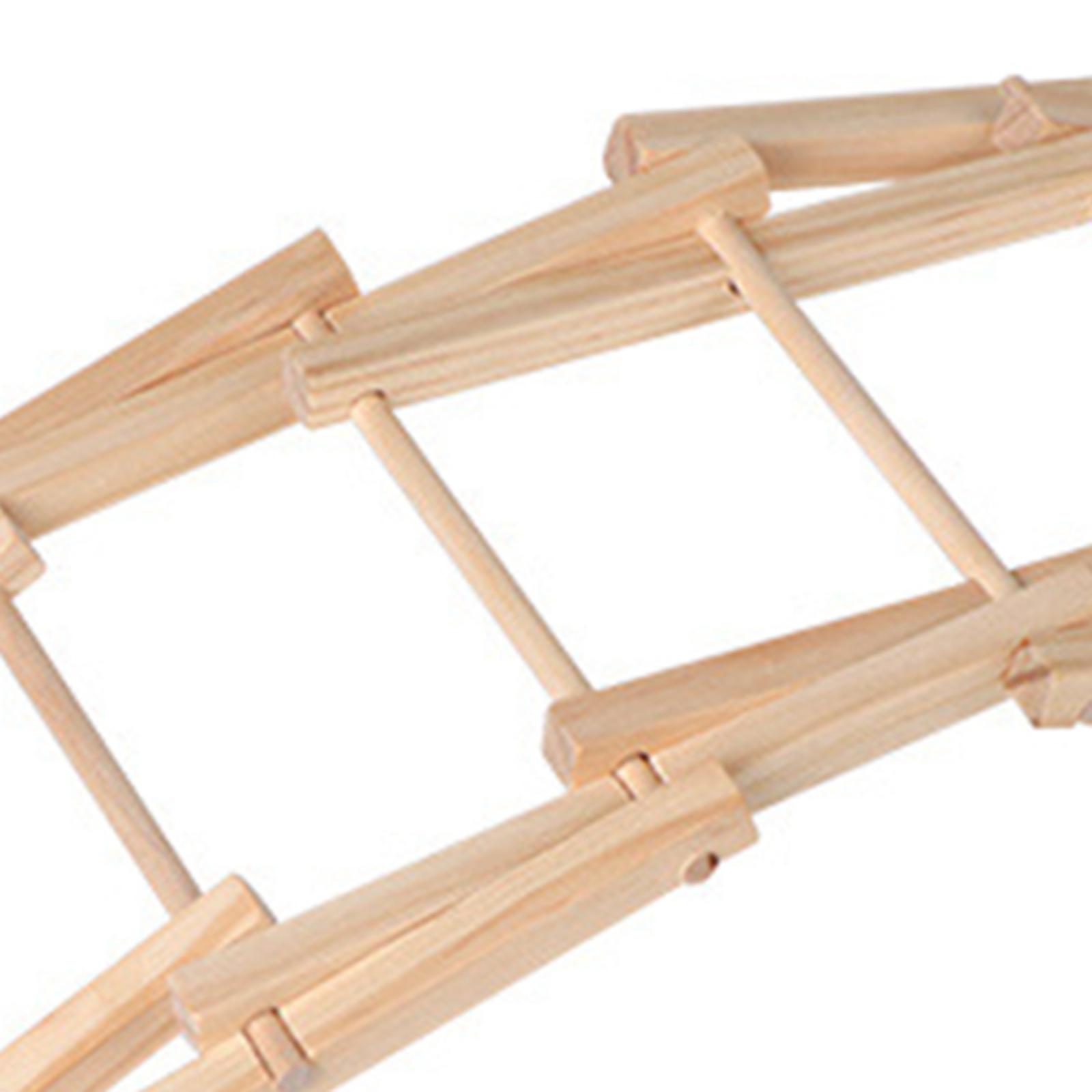 Wood Science Model Bridge (ass - Science Project Physics recension och pris