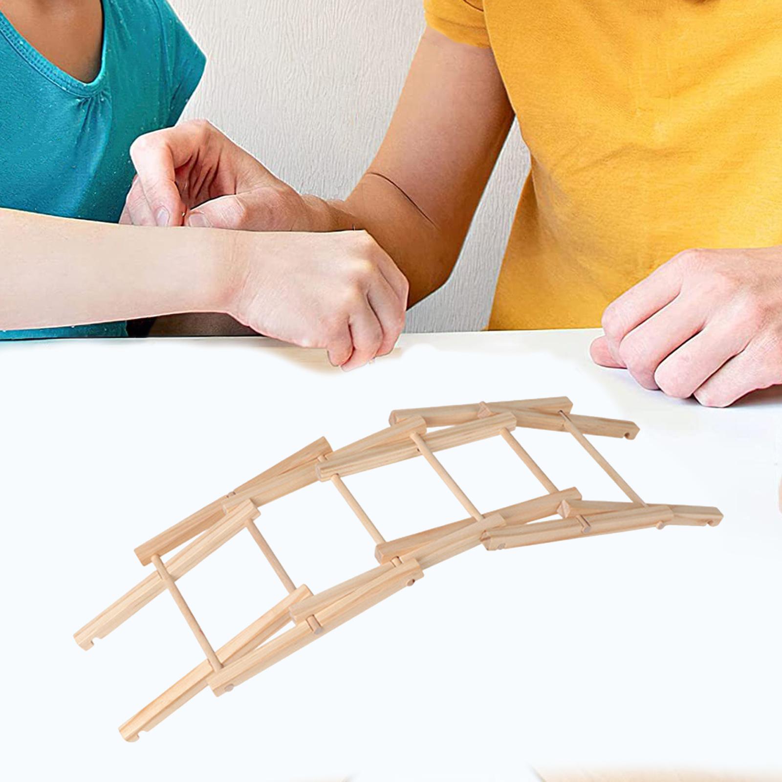 Wood Science Model Bridge (ass - Science Project Physics recension och pris
